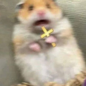 Meet your Posher, Haydee